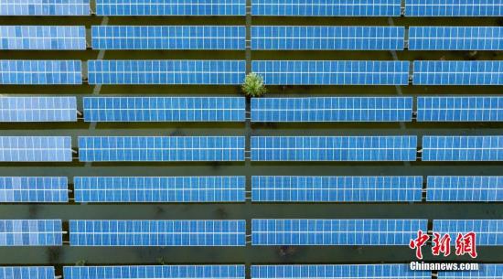 z6com-�й�Ψһ����